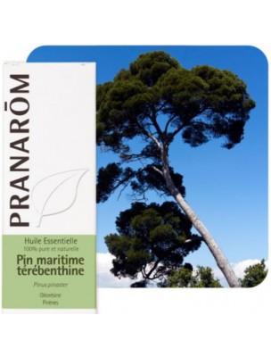 Image de Pin maritime Térébenthine - Huile essentielle Pinus pinaster 10 ml - Pranarôm depuis Huiles essentielles pour le transit intestinal