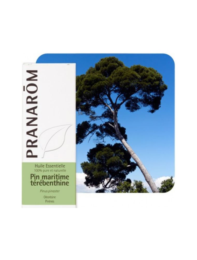 Pin maritime Térébenthine - Huile essentielle Pinus pinaster 10 ml - Pranarôm Pin maritime Térébenthine - Huile essentielle Pinus pinaster 10 ml - Pranarôm