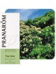 Tea tree (Arbre à thé) - Huile essentielle de Melaleuca alternifolia 10 ml - Pranarôm