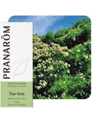 Image de Tea tree (Arbre à thé) - Huile essentielle de Melaleuca alternifolia 10 ml - Pranarôm depuis PrestaBlog