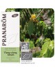 Ylang-ylang Bio - Cananga odorata 5 ml - Pranarôm