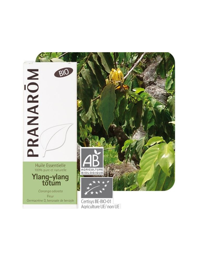 Ylang-ylang Bio - Cananga odorata 5 ml - Pranarôm