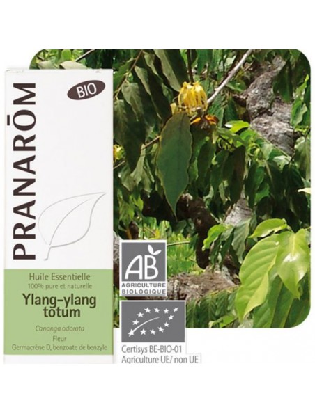 Achetez Ylang-ylang Bio - Cananga odorata 5 ml - Pranarôm à l'herboristerie Louis Image principale de Ylang-ylang Bio - Cananga odorata 5 ml - Pranarôm