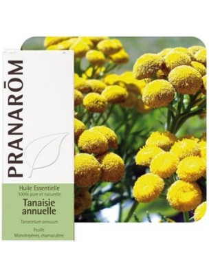 Image de Tanaisie annuelle - Huile essentielle Tanacetum annuum 5 ml - Pranarôm via Huile essentielle Lavandin super Bio 10 ml - Purasana