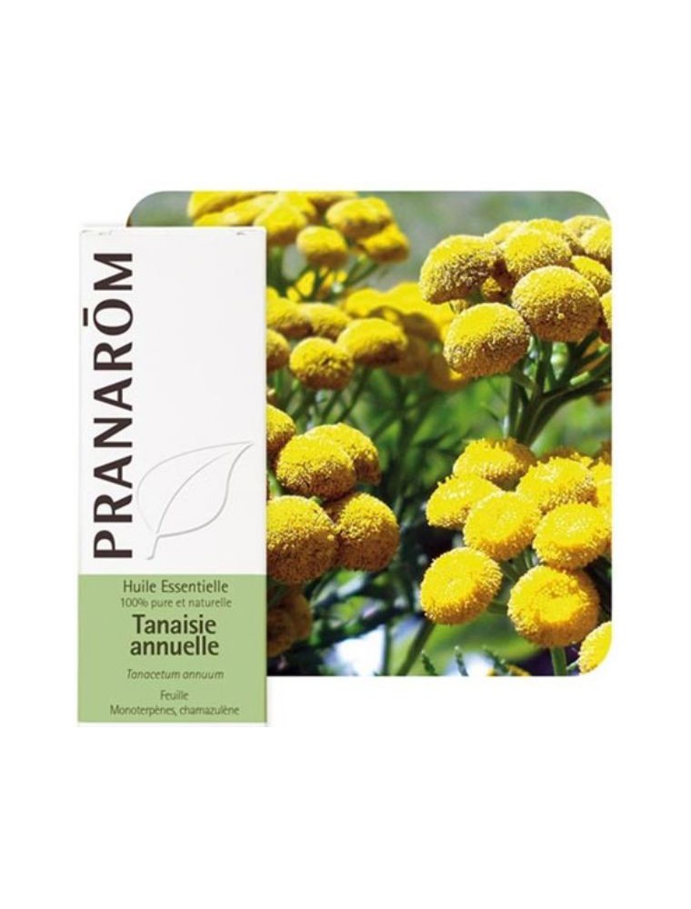 Image principale de la modale pour Tanaisie annuelle - Huile essentielle Tanacetum annuum 5 ml - Pranarôm