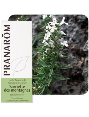 Image de Sarriette des montagnes - Huile essentielle de Satureja montana 5 ml - Pranarôm via Gélules Pullulanes Taille 1 - 60 gélules