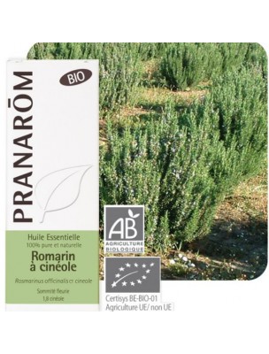 Image de Romarin à cinéole Bio - Huile essentielle Rosmarinus officinalis ct cineole 10 ml - Pranarôm depuis PrestaBlog