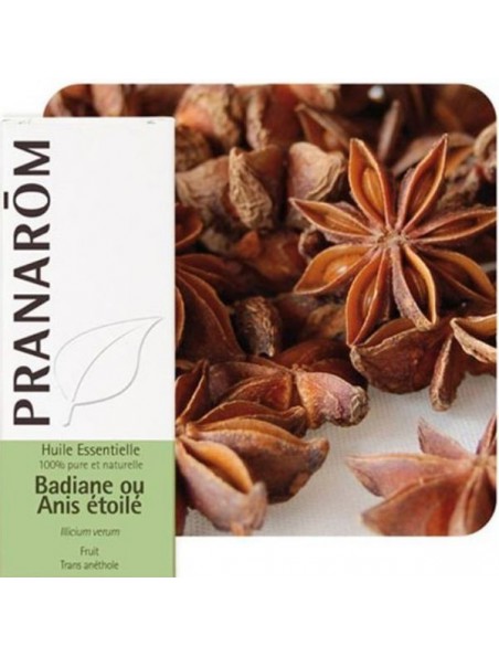 Badiane (Anis étoilé) - Huile essentielle Illicium verum 10 ml - Pranarôm Badiane (Anis étoilé) - Huile essentielle Illicium verum 10 ml - Pranarôm