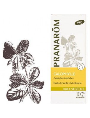 Image de Calophylle (Tamanu) Bio - Huile végétale Calophyllum inophyllum 50 ml - Pranarôm depuis Hélichryse (Immortelle) Bio - Huile de macération d'Helichrysum italicum 50 ml - Abiessence