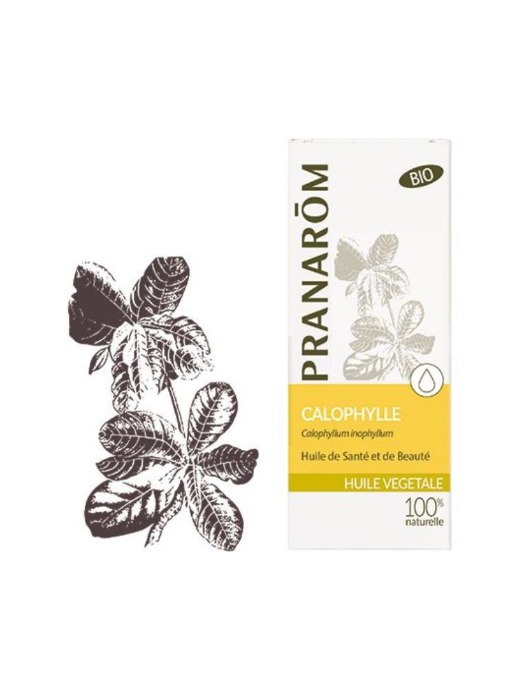 Image principale de la modale pour Calophylle (Tamanu) Bio - Huile végétale Calophyllum inophyllum 50 ml - Pranarôm