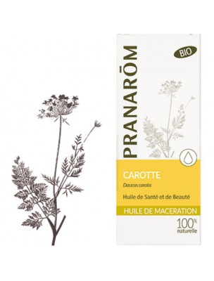 Image de Carotte - Huile végétale Daucus carota 50 ml - Pranarôm via Avocat Bio - Huile végétale Persea gratissima 50 ml - Pranarôm