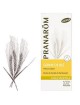 Germe de blé Vierge - Huile végétale Triticum vulgare 50 ml - Pranarôm