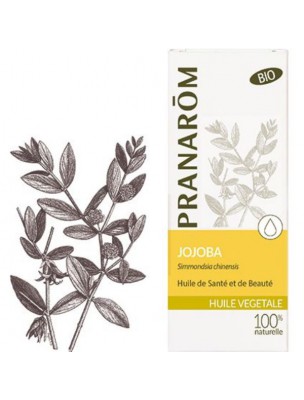 Jojoba Bio - Huile végétale Simmondsia chinensis 50 ml - Pranarôm