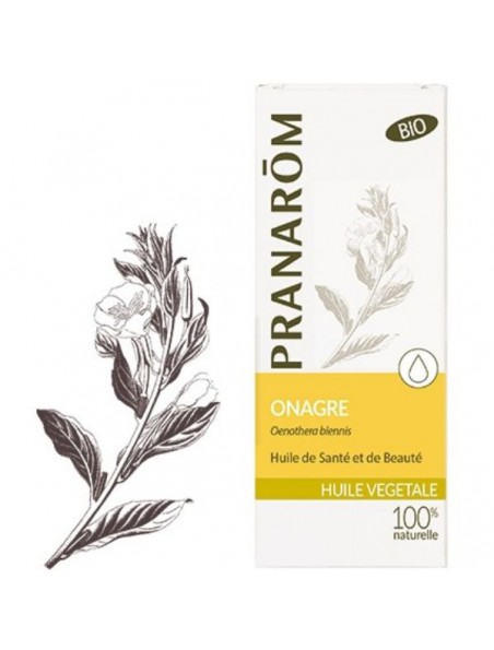 Image principale de Onagre Bio - Huile végétale Oenothera biennis 50 ml - Pranarôm