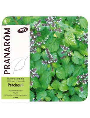 Image de Patchouli Bio - Huile essentielle Pogostemon cablin 10 ml - Pranarôm depuis Achetez les produits Pranarôm à l'herboristerie Louis (6)