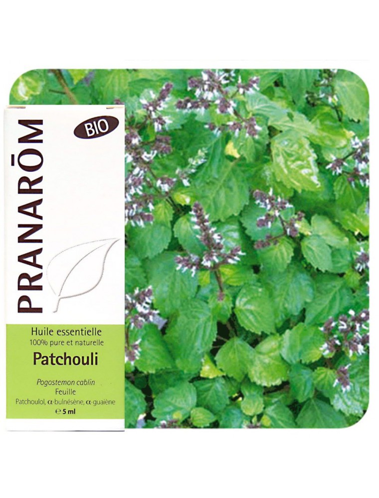 Image principale de la modale pour Patchouli Bio - Huile essentielle Pogostemon cablin 10 ml - Pranarôm