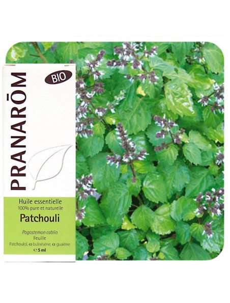Achetez Patchouli Bio - Huile essentielle Pogostemon cablin 10 ml - Pranarôm à l'herboristerie Louis Image principale de Patchouli Bio - Huile essentielle Pogostemon cablin 10 ml - Pranarôm