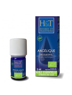 Image de Angélique Bio - Huile essentielle d'Angelica Archangelica 2 ml - Herbes et Traditions depuis Huiles essentielles pour le tonus