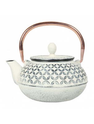 Image de White cast iron teapot Rosaces 80 cl with its filter depuis Cast iron, porcelain or glass teapots for aesthetic brewing