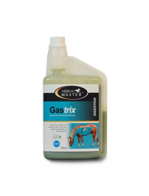 Image de Gastrix - Soutien de la Musqueuse Gastrique pour chevaux 946ml - Horse Master depuis Produits naturels pour la digestion et le foie de vos animaux