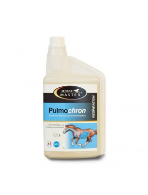 Image de Pulmochron - Respiratory tract support for horses 1L - Horse Master depuis Your pet's airways stimulated by plants