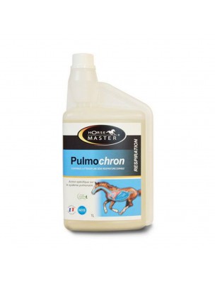 Image de Pulmochron - Soutien les voies respiratoires des chevaux 1L - Horse Master via Broncophyt 500g - Respiration chevaux - Equi-Top