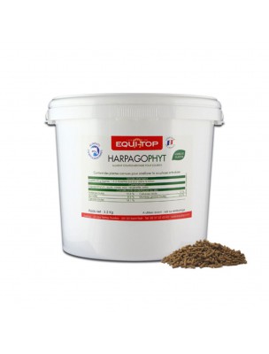 Image de Harpagophyt - Soutien la fonction locomotive des chevaux 700g - Equi-Top via Arnica Leg Gel - Soin des membres 500g - Horse Master