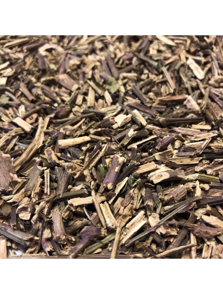 Image principale de la modale pour Orthosiphon Bio - Partie aérienne coupée 100 g - Tisane d'Orthosiphon aristatus (Blume)
