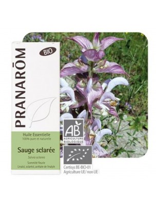 Image de Sauge sclarée Bio - Huile essentielle de Salvia sclarea 5 ml - Pranarôm via Sauge sclarée Bio - Teinture-mère Salvia sclarea 50 ml