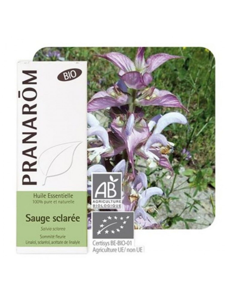 Image principale de la modale pour Sauge sclarée Bio - Huile essentielle de Salvia sclarea 5 ml - Pranarôm