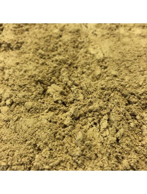 Image de Gingembre Bio - Rhizome Poudre 100g - Tisane de Zingiber officinale Roscoe depuis Elixir Les Aphrodisiaques - Libido 100 ml - Curanderas