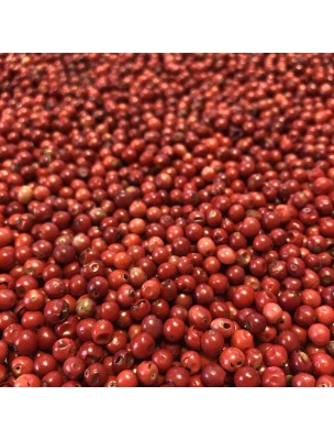 Image de Poivre Rose Bio - Baie 100g - Tisane de Schinus terebenthifolia Raddi depuis Baies Roses Bio - Cristaux d'huiles essentielles - 10g |