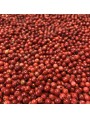 Image de Organic Pink Pepper - Berry 100g - Herbal Tea from Schinus terebenthifolia Raddi via Buy Book "La cuisine aux cristaux d'huiles essentielles" - More