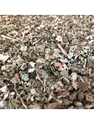 Image de Noisetier - Feuilles coupées 100g - Tisane de Corylus avellana depuis louis-herboristerie