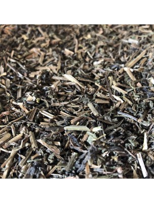 Image de Gratteron - Partie aérienne coupée 100g - Tisane de Galium aparine depuis ▷▷ Tisanes de plantes commençant par la lettre G