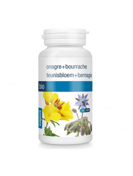 Huile de graine de bourrache et d'onagre Bio - Cycle féminin & Peau 60 capsules - Purasana Huile de graine de bourrache et d'onagre Bio - Cycle féminin & Peau 60 capsules - Purasana