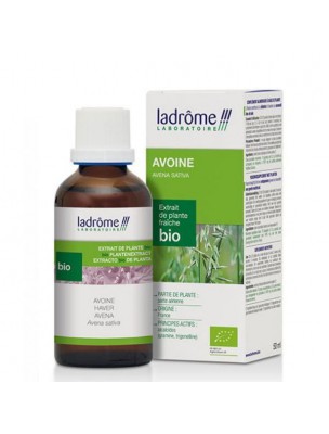 Image de Avoine Bio - Tonus et Vitalité Teinture-mère Avena sativa 50 ml - Ladrôme depuis Commandez les produits Ladrôme à l'herboristerie Louis