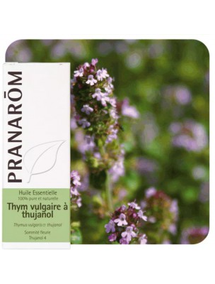 Image de Thym vulgaire à thujanol - Huile essentielle de Thymus vulgaris ct thujanol 5 ml - Pranarôm depuis Aromathérapie : huiles essentielles unitaires pour votre bien-être (9)