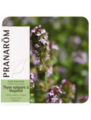 Image de Thyme vulgaris with thujanol - Thymus vulgaris essential oil ct thujanol 5 ml Pranarôm depuis Voice and vocal cords