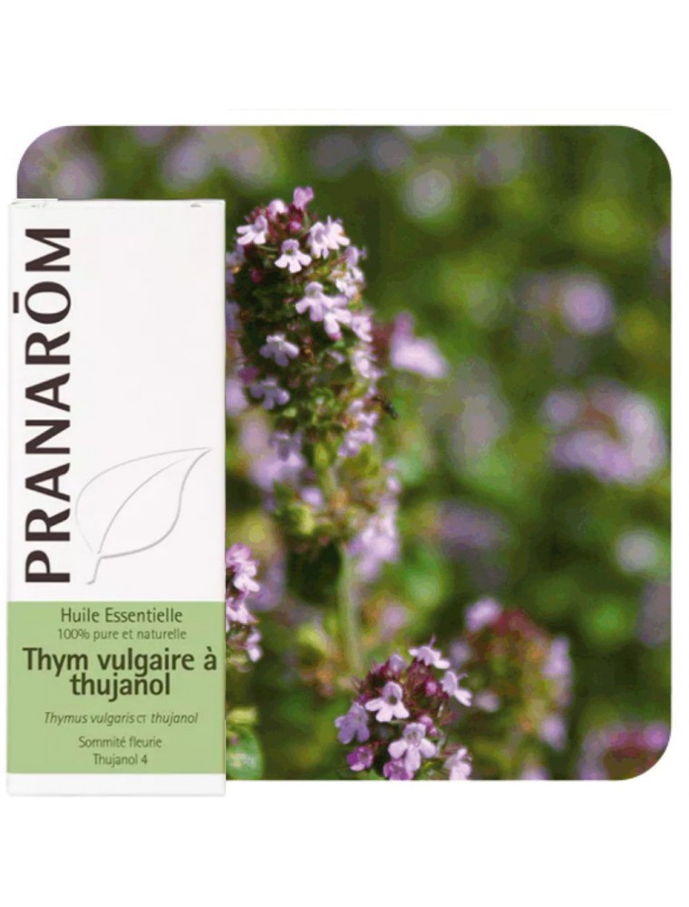 Thym vulgaire à thujanol - Huile essentielle de Thymus vulgaris ct thujanol 5 ml - Pranarôm