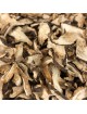 Shiitaké - Morceaux coupés 100g - Tisane de Cortinellus shiitake