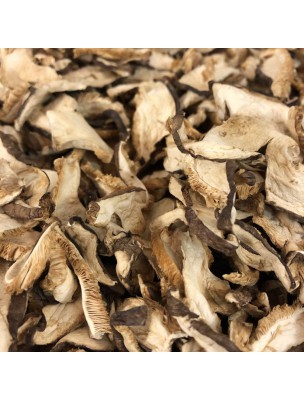 Image de Shiitaké - Morceaux coupés 100g - Tisane de Cortinellus shiitake depuis PrestaBlog