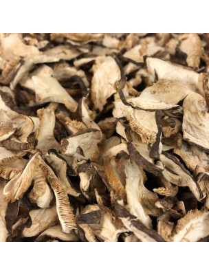 Image de Shiitaké - Morceaux coupés 100g - Tisane de Cortinellus shiitake via Cynorrhodon Bio - Baie 100g