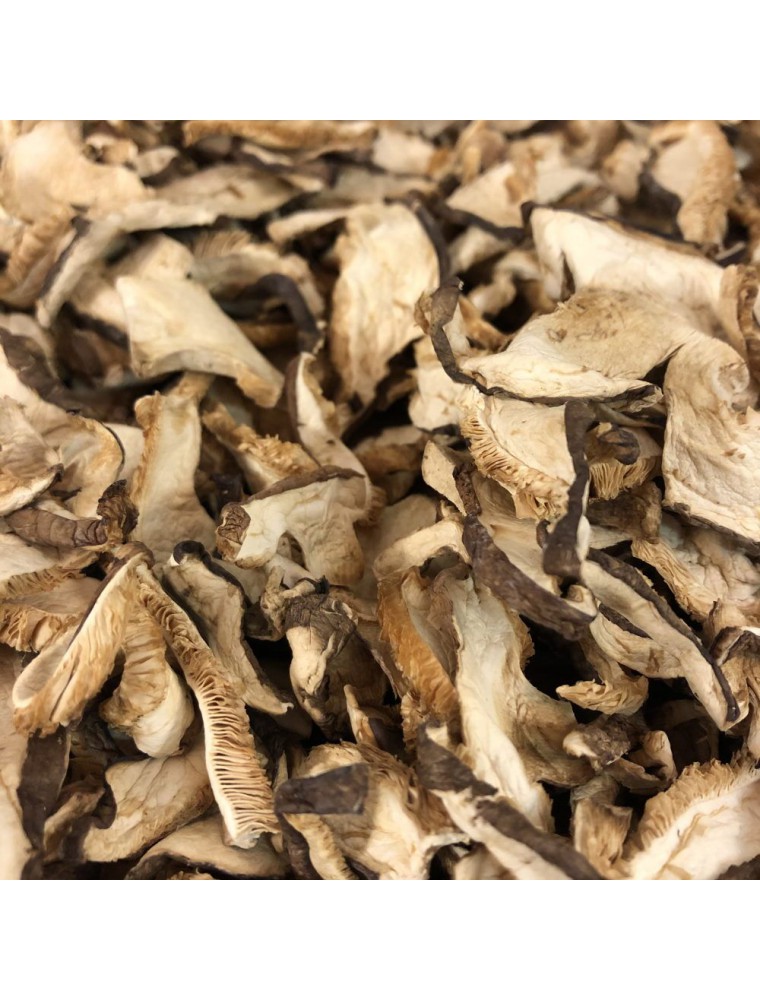 Image principale de la modale pour Shiitaké - Morceaux coupés 100g - Tisane de Cortinellus shiitake