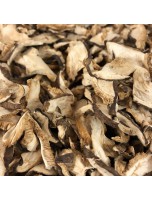 Image de Shiitaké - Morceaux coupés 100g - Tisane de Cortinellus shiitake depuis ▷▷ Tisanes de plantes commençant par la lettre S