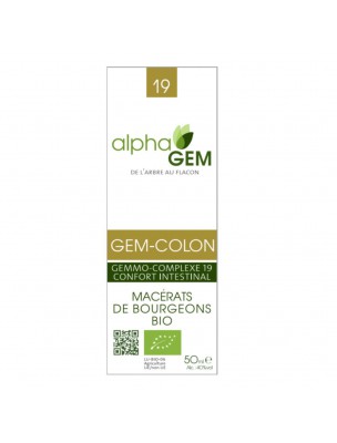 Image 26351 supplémentaire pour Gem-Colon Complexe n°19 Bio - Confort intestinal 50 ml - Alphagem