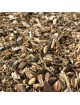 Chêne - Ecorce coupée 100g - Tisane de Quercus robur L.