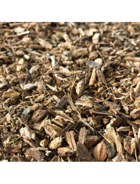 Image principale de Chêne - Ecorce coupée 100g - Tisane de Quercus robur L.