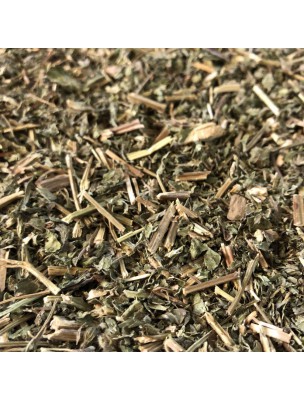 Image de Lemon balm organic - Cut aerial part 100g - Herbal tea Melissa officinalis L. depuis Relaxation and relaxation in nature