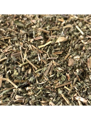 Image de Mélisse Bio - Partie aérienne coupée 100g - Tisane Melissa officinalis L. depuis Achetez des épices et aromates naturels en ligne (2)